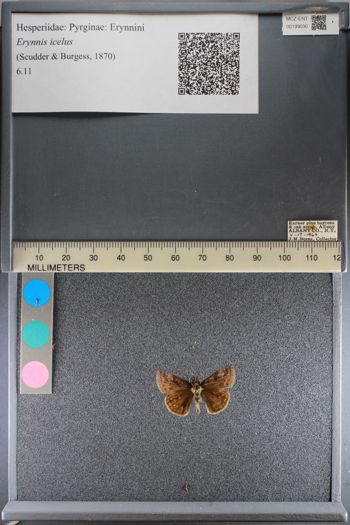 Media type: image;   Entomology 199030